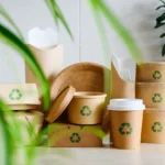 Pappedeckel: Meaning, Uses, Sustainability, and Importance in Modern Packaging