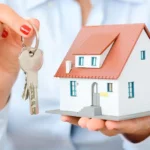 Sofoximmo: Innovation Investment and Modern Lifestyle 