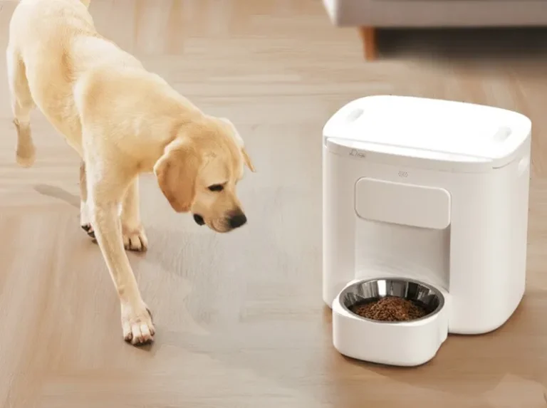 Ansiwee: Concept Meaning and Growing Relevance